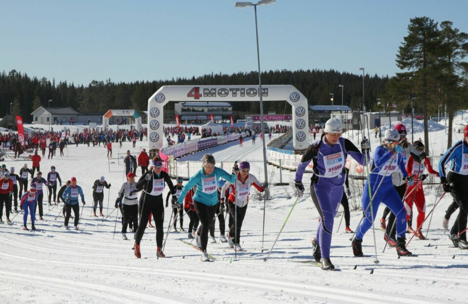 Over 500 damer går Ingalåmi på Birkebeineren lørdag Inglåmi 2015