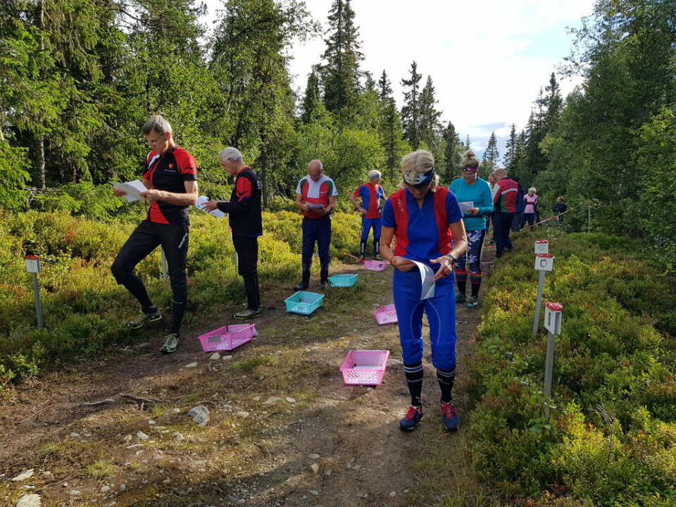 Bedrift o-løp i diffuse myrer i Vangsåsen Klare til start.jpg