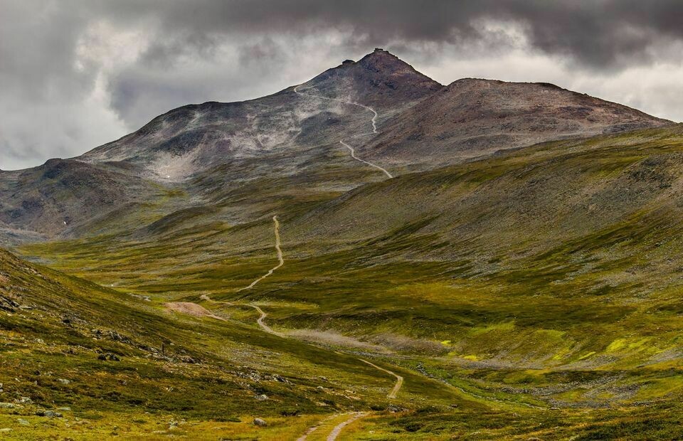 Petter Eliassen slo motbakkespesialist Eirik Haugsnes i Halddemarsjen Løypa_vignett.jpg
