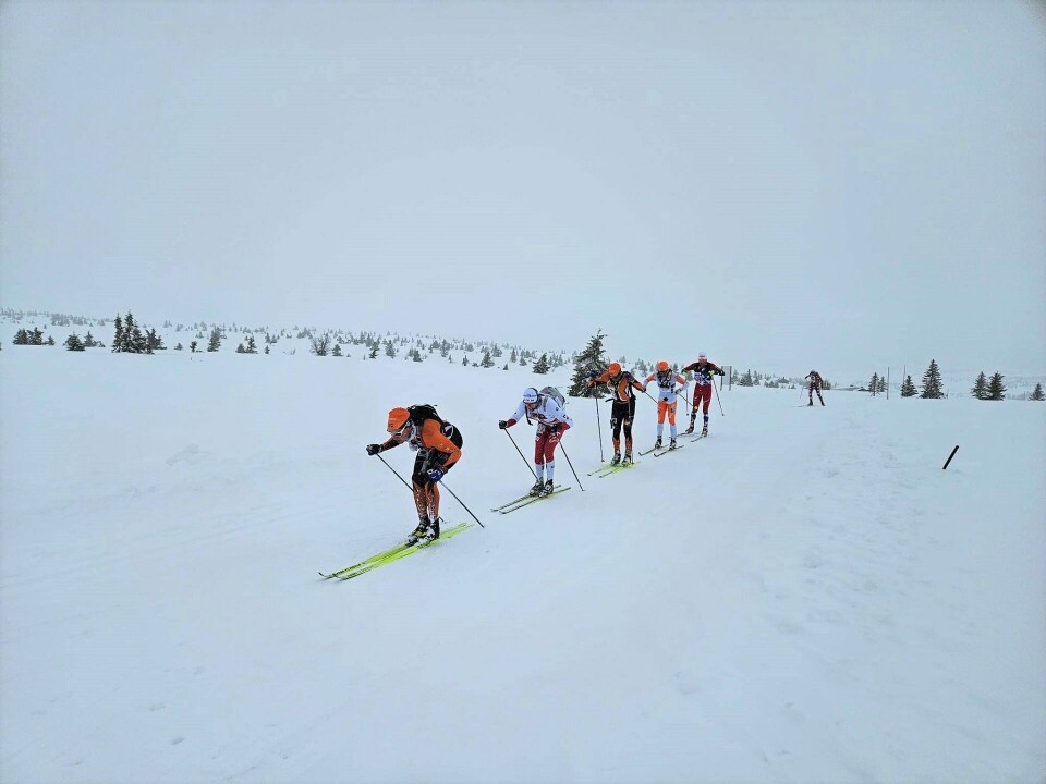 Magnus Bleken fører an i tetgruppa på hoveddistansen 95 km klassisk med ca. fire mil igjen til mål. (Foto fra Lillehammer Troll Ski Marathons facebookside) Magnus Bleken fører an i tetgruppa på hoveddistansen 95 km klassisk med ca. fire mil igjen til mål. (Foto fra Troll Ski Marathons facebookside)
