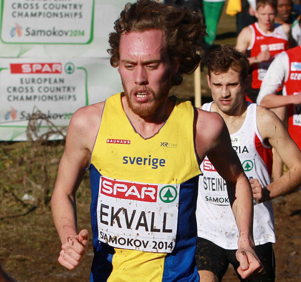 EM i terrengløp går søndag - les ny artikkel fra mesterskapet i fjor Menn_Senior_Mikael_Ekvall_A20G8817.jpg