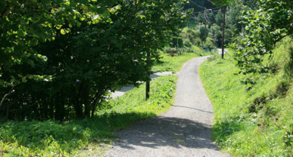 Eventyret Møkster Maraton