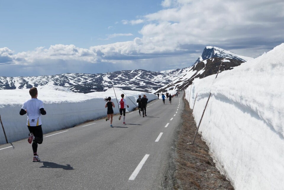 Fra den første tredelen av halvmaratonløypa som faller 300 m ned fra Valdresflya til Bygdin. (Foto fra Fjellmaratons facebookside) Fra den første tredelen av halvmaratonløypa som faller 300 m ned fra Valdresflya til Bygdin. (Foto fra Fjellmaratons facebookside)
