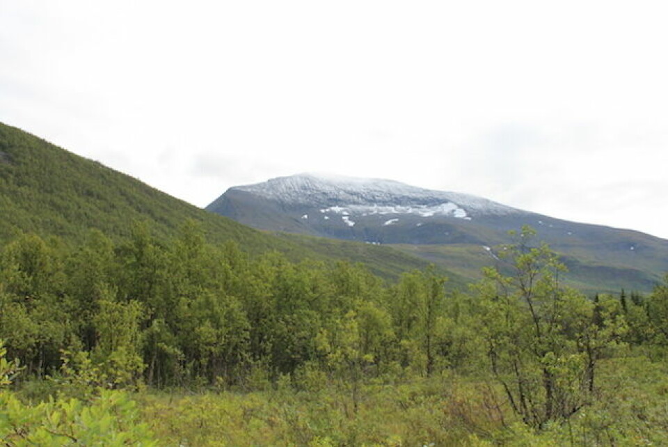 Guro Skjeggerud og Sigurd Beldo trippelvinnere i Tromsø Tromsdalstinden_1238moh.jpg