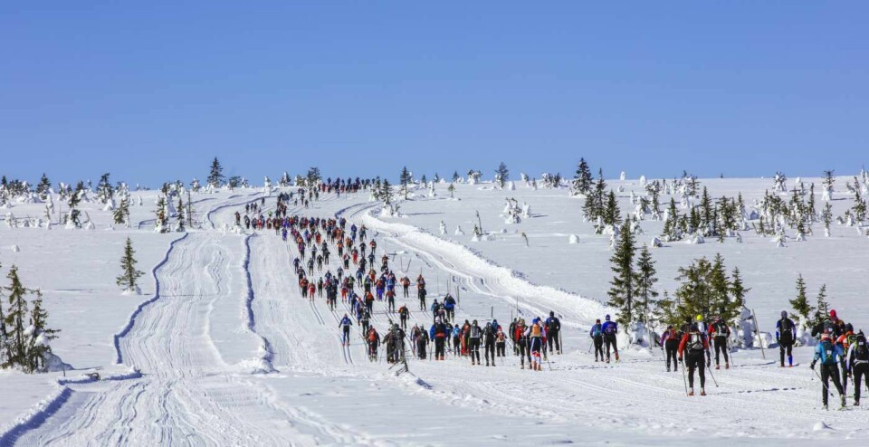 Birken besluttet å ikke tillate russiske og hviterussiske deltakere og team i Birkebeinerrennet 2022. (Foto: Birken) Birken besluttet å ikke tillate russiske og hviterussiske deltakere og team i Birkebeinerrennet 2022. (Foto: Birken)