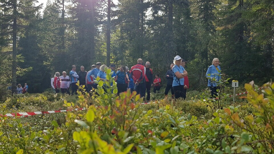 Startklare løpere i høstsol. (Foto: Stein Arne Negård) Startklare løpere i høstsol. (Foto: Stein Arne Negård)