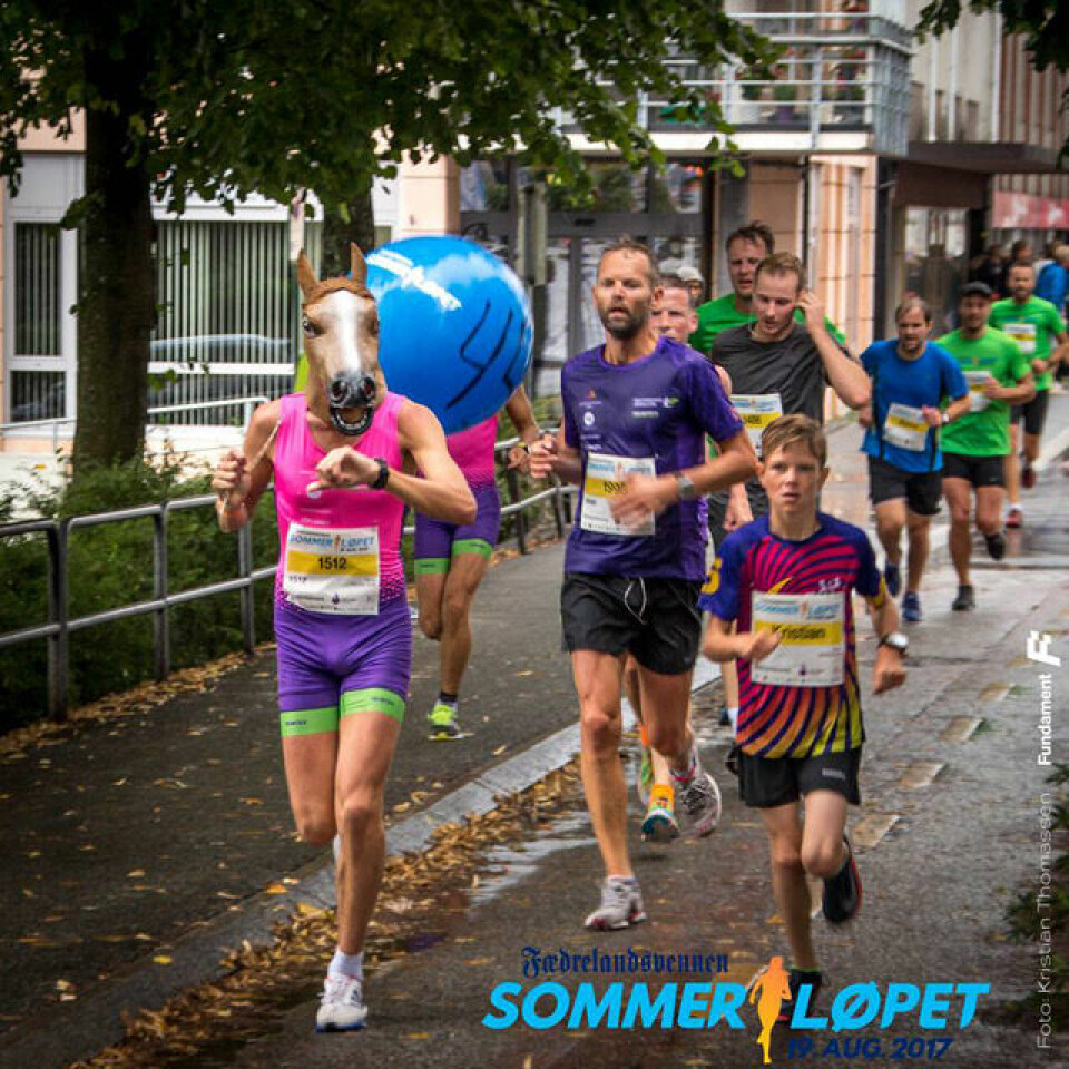 Sommerløpet i Kristiansand med imponerende deltakerrekord Hesten_640.jpg