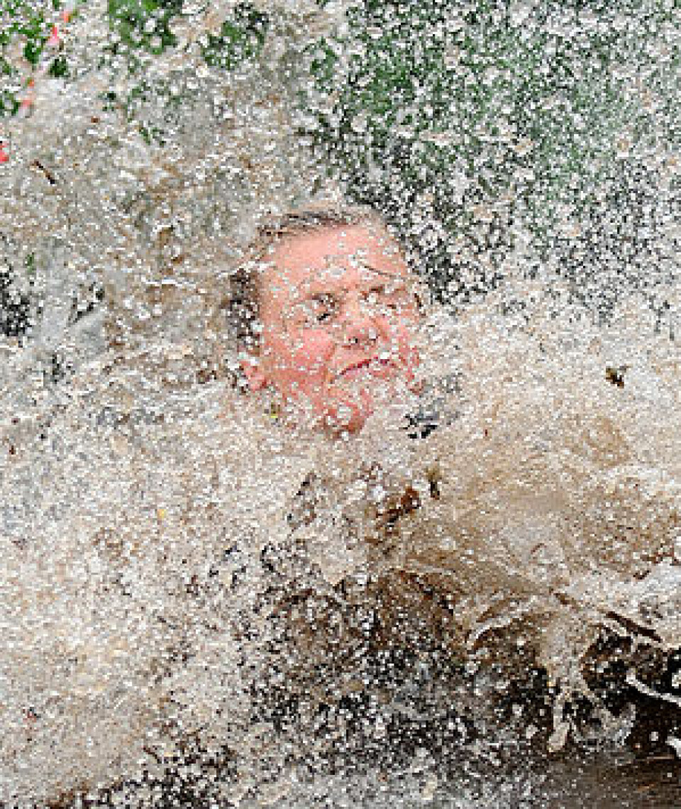 Ekte Råtasser D30_8254_Ingress