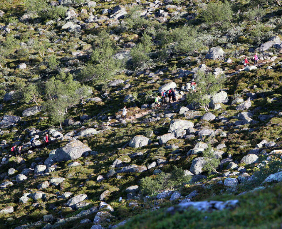 Skåla Opp 2011 - fra start til mål
