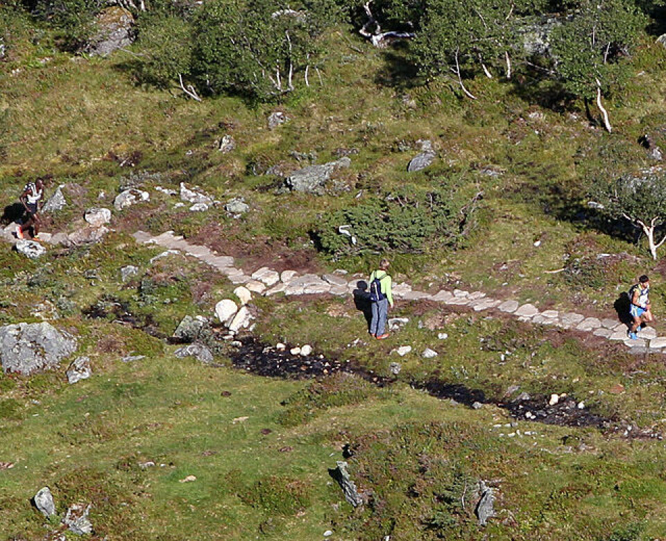 Skåla Opp 2011 - fra start til mål
