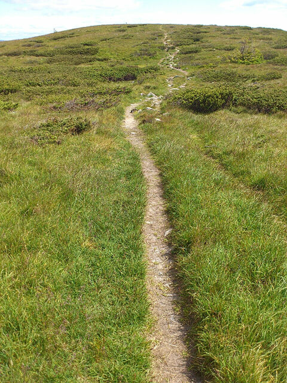 Tester ut Sjusjøløpet