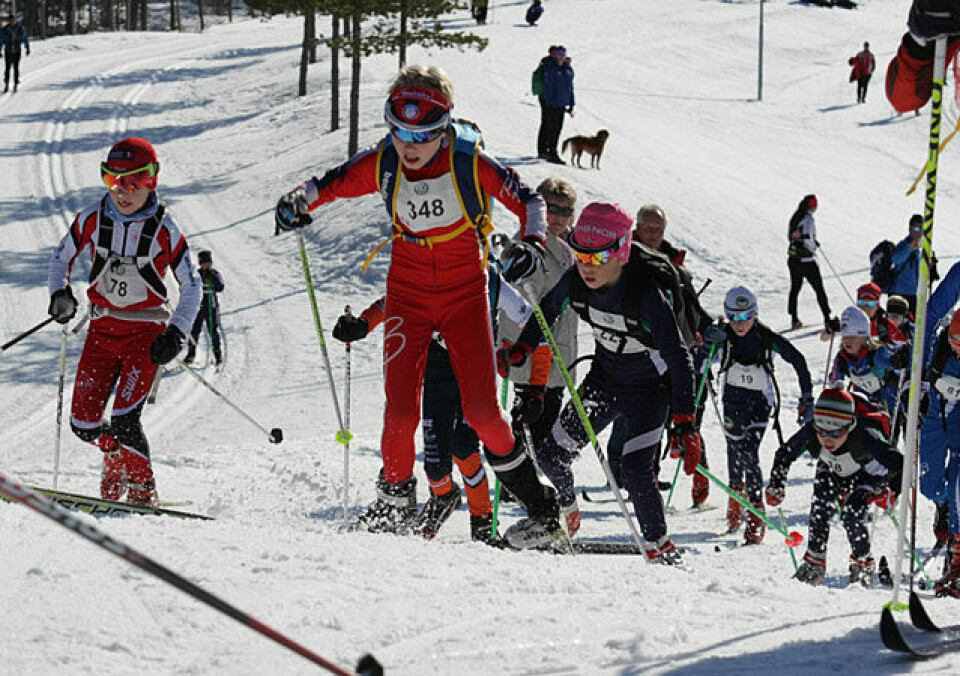 800 gikk Barnebirken på Lillehammer og Rena BarneBirken-018.jpg