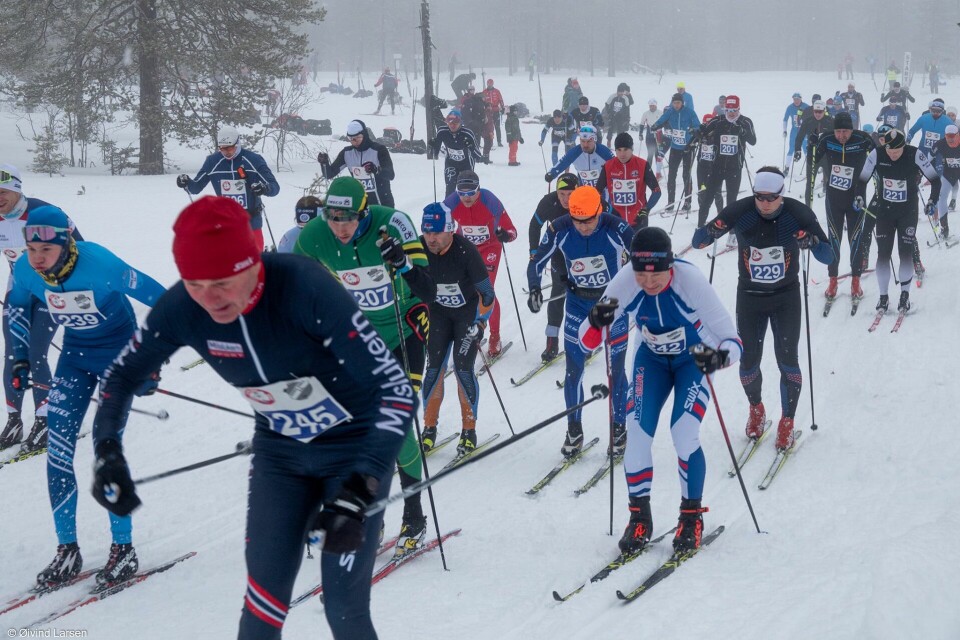 Fra starten i reservetraséen på Flishøgda i 2022-utgaven av Trysil-Knut. (Foto: Øyvind Larsen) Fra starten i reservetraséen på Flishøgda i 2022-utgaven av Trysil-Knut. (Foto: Øyvind Larsen)
