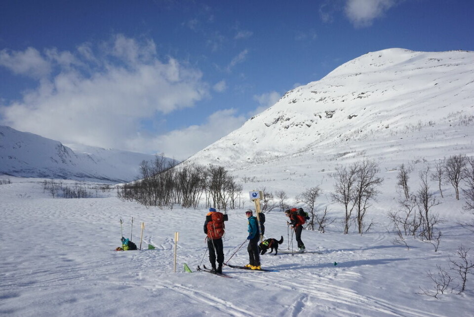 Tromsø Arctic Skimo – verdens nordligste randonèeløp Frivillige 2.jpg
