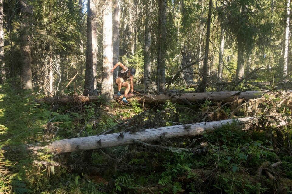 Oslo til Galdhøpiggen på 104 timer og 39 minutter. patrick_stangbye_DSC1360.JPG