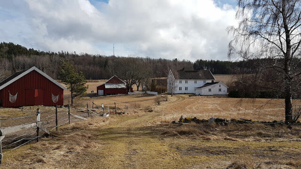 BLOGG: Jeløya Rundt - endelig snøfritt terreng