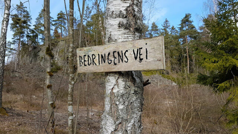 BLOGG: Jeløya Rundt - endelig snøfritt terreng