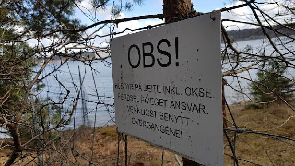 BLOGG: Jeløya Rundt - endelig snøfritt terreng