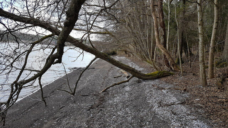 BLOGG: Jeløya Rundt - endelig snøfritt terreng