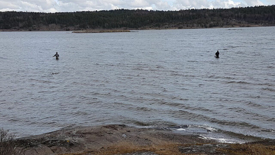 BLOGG: Jeløya Rundt - endelig snøfritt terreng