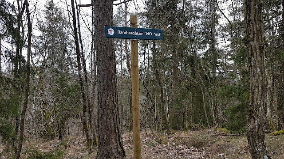 BLOGG: Jeløya Rundt - endelig snøfritt terreng