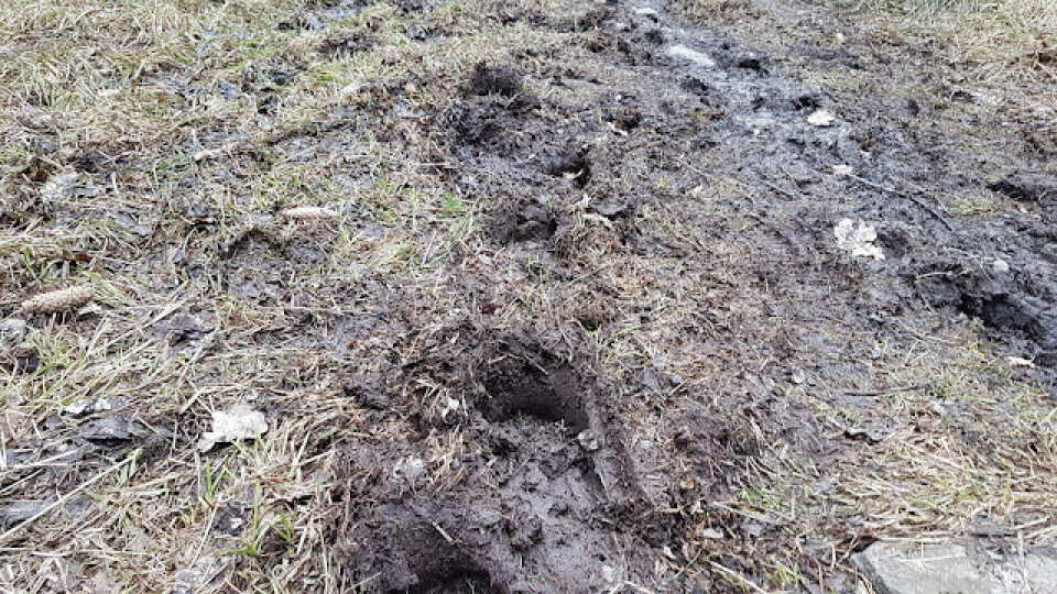 BLOGG: Jeløya Rundt - endelig snøfritt terreng