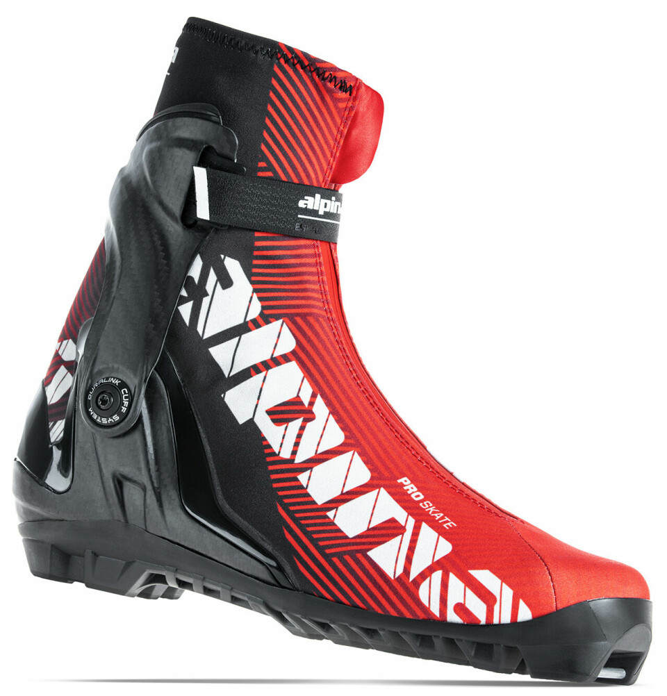 Årets nye skisko til trening og turrenn Alpina-Elite-ProSkate.jpg