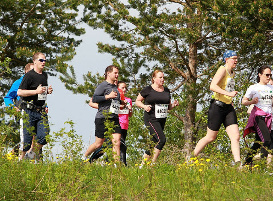 Stor vekst for halvBirken med over 1000 deltakere for første gang. (Foto: Kjell Vigestad) Stor vekst for halvBirken med over 1000 deltakere for første gang. (Foto: Kjell Vigestad)
