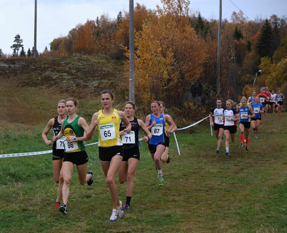 Didrik Tønseth og Sigrid Våg vant NM terrengløp Kvinner_senior_felt_4S7A1461.JPG