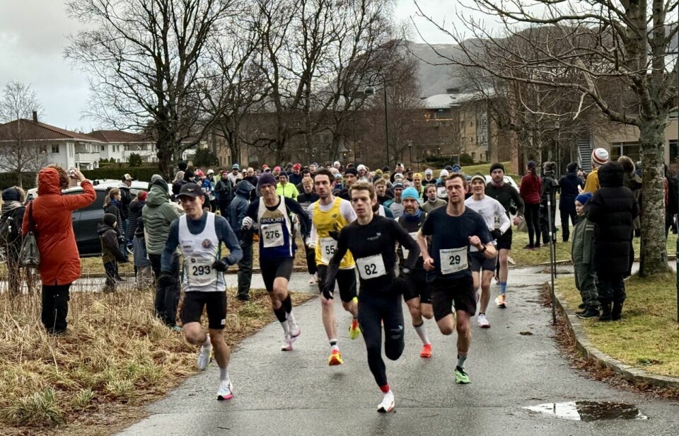 Halvmaraton hadde flest deltakere, Her ser vi fra starten på Moa der 127 løpere fullførte distansen. Halvmaraton hadde flest deltakere, Her ser vi fra starten fra Moa der 127 løpere fullførte distansen.