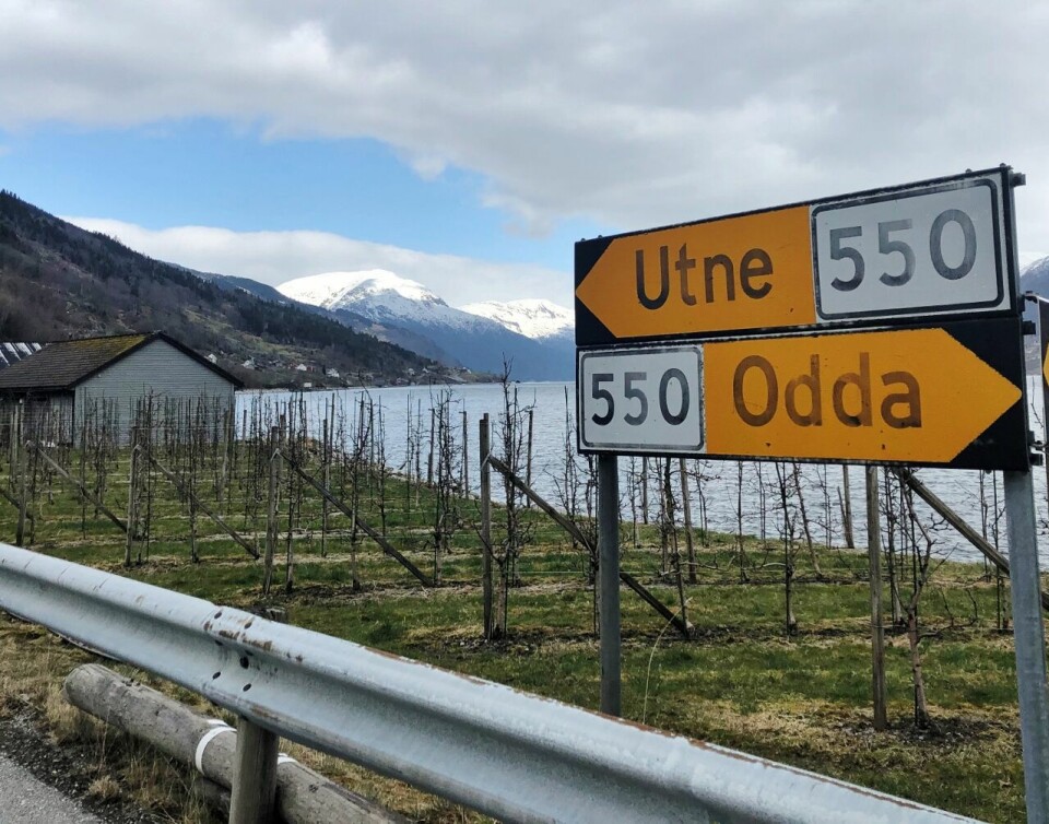 Maraton fra Utne til Odda ble antagelig for første gang gjennomført i april. (Foto: Grete Lothe) Maraton fra Utne til Odda ble antagelig for første gang gjennomført i april. (Foto: Grete Lothe)