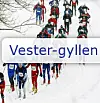 Vestergyllen