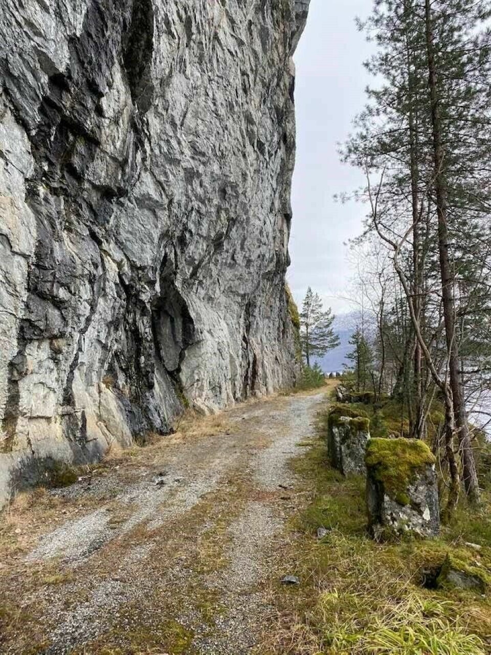 Se hvem som har løpt Kondis virtuelle maraton- og ultraløp i april Inge_A_Haugen_fra_Løypa.jpg