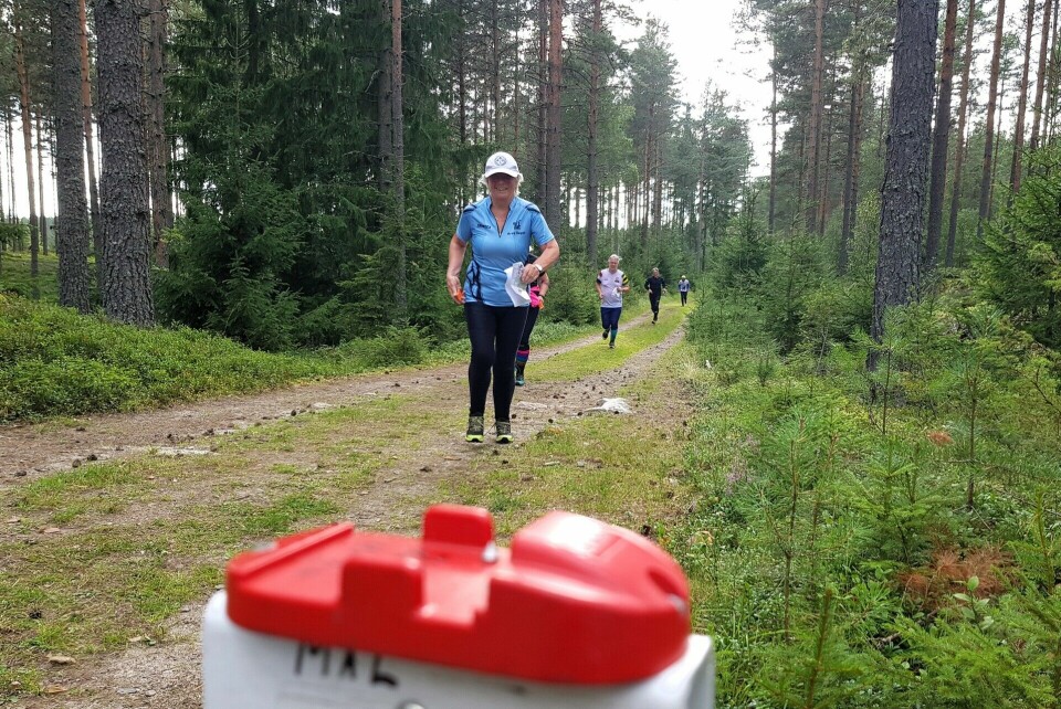 Løpere på rekke og rad mot mål. (Foto: Stein Arne Negård) Løpere på rekke og rad mot mål. (Foto: Stein Arne Negård)