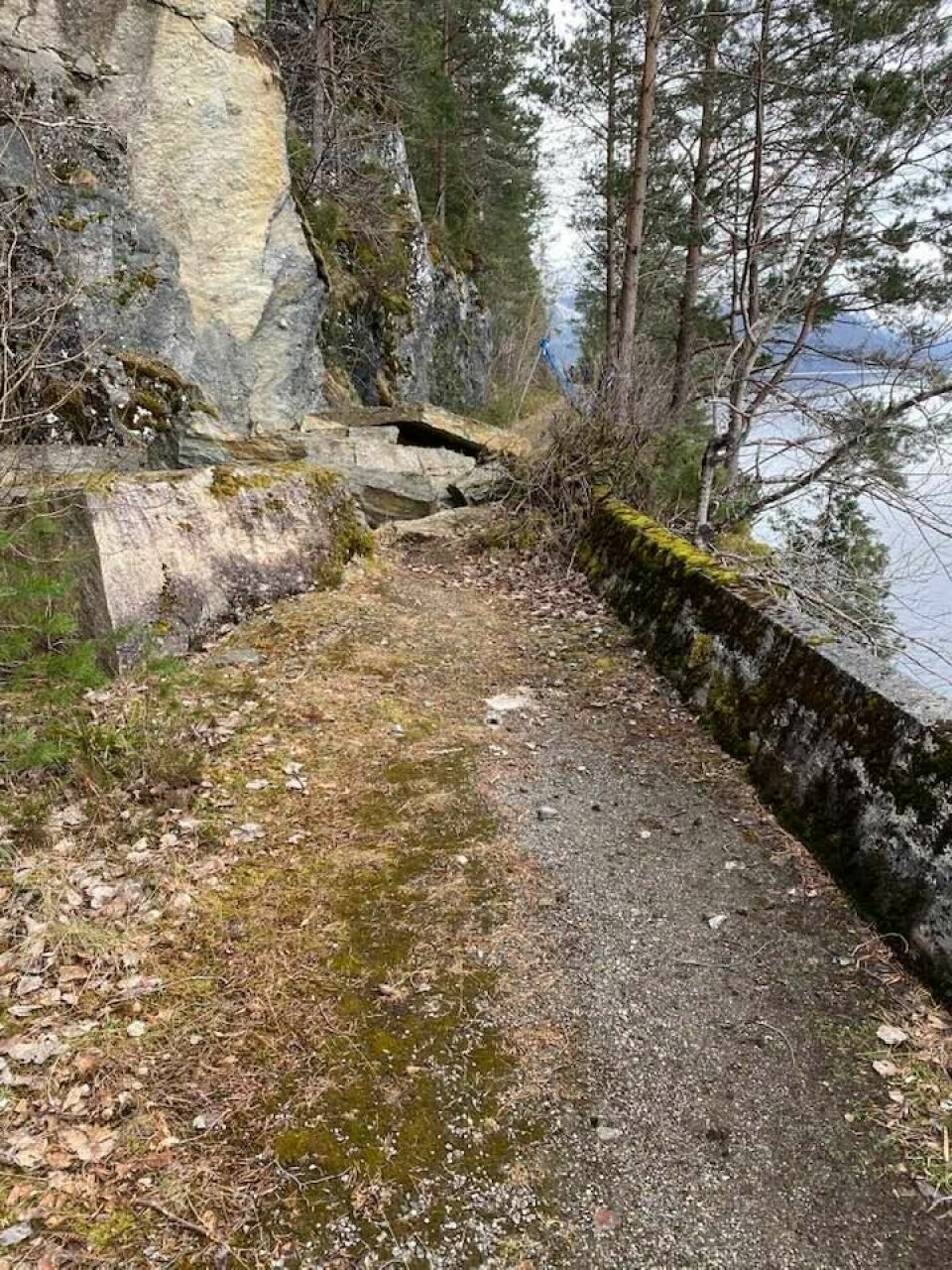 Se hvem som har løpt Kondis virtuelle maraton- og ultraløp i april Inge_A_Haugen_Kjøsahammaren.jpg
