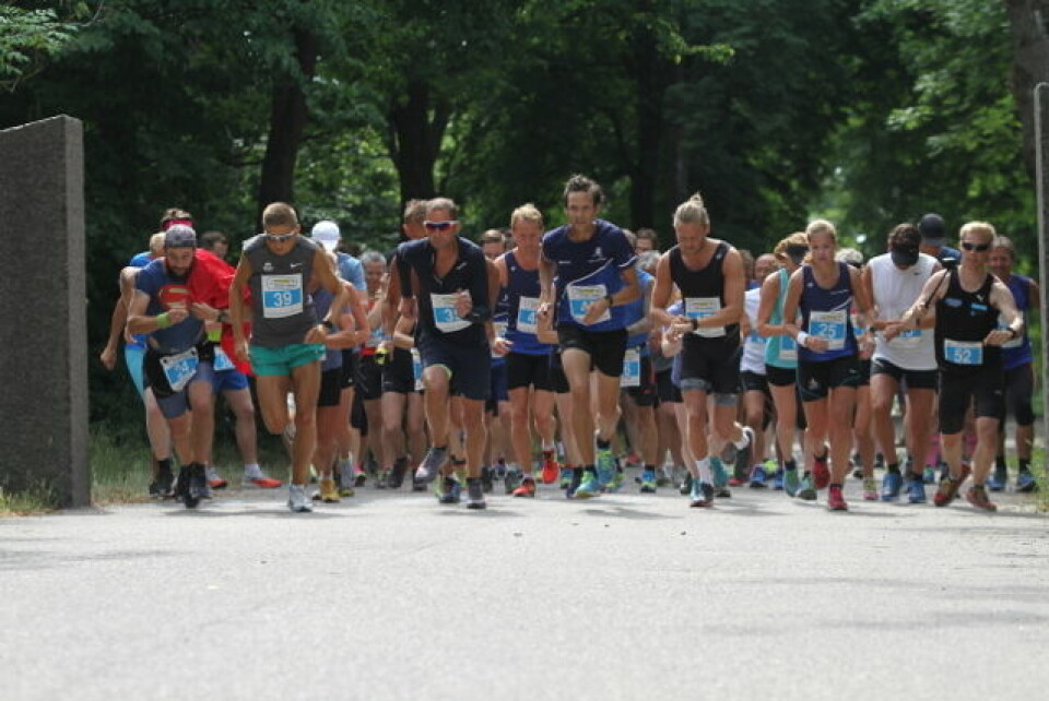 Starten har gått på 10 km! Foto: Stine Skog Hansen Starten har gått på 10 km! Foto: Stine Skog Hansen