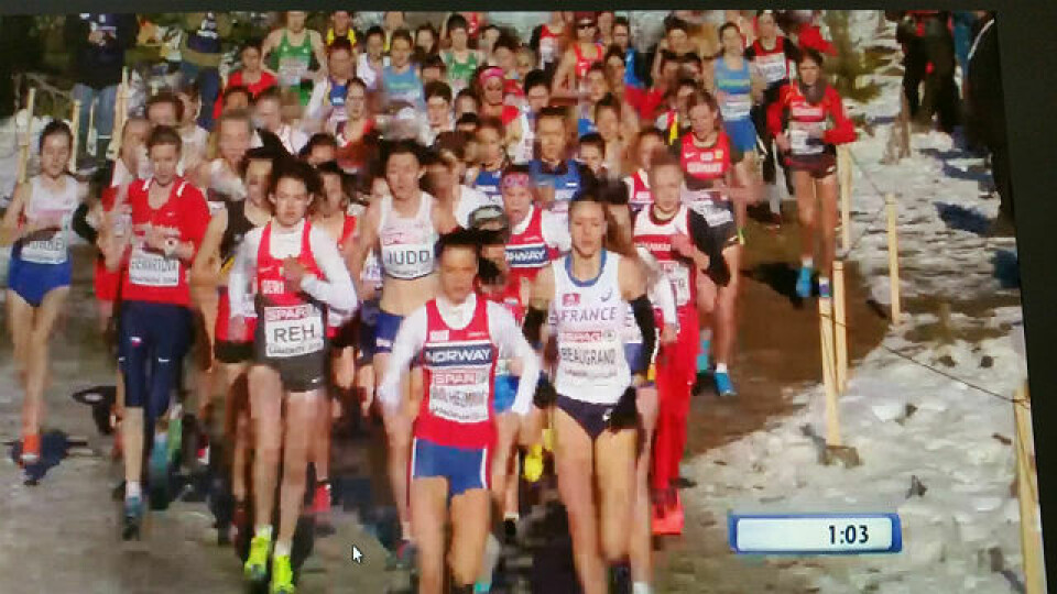 EM terreng: Heidi Mårtensson nr. 12 i juniorklassen Live_Solheimdal_tet.jpg
