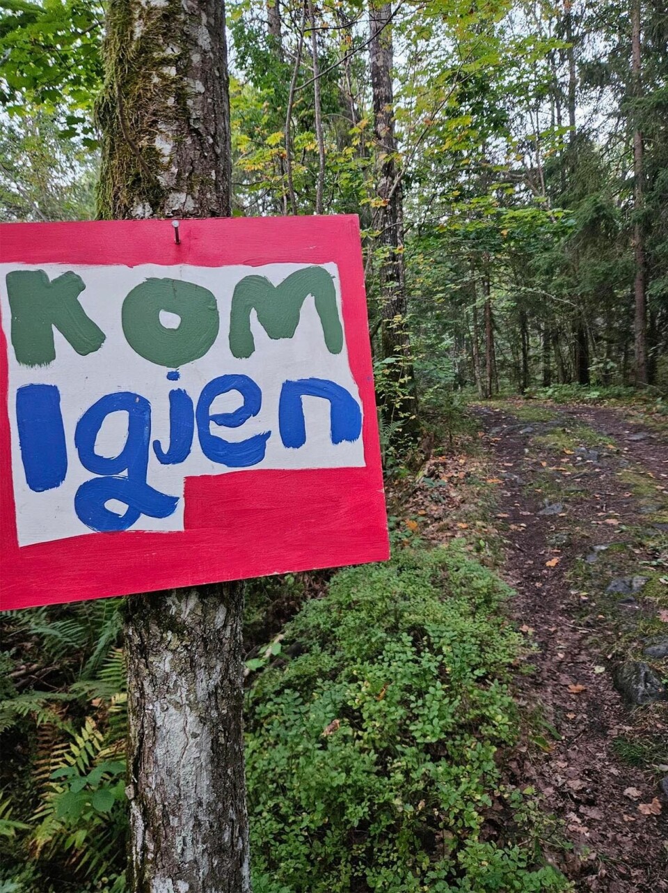 14 år gamle Herman Unneland løp 80,4 km i Nærsnes Backyard Ultra Naersnes-plakat.jpg