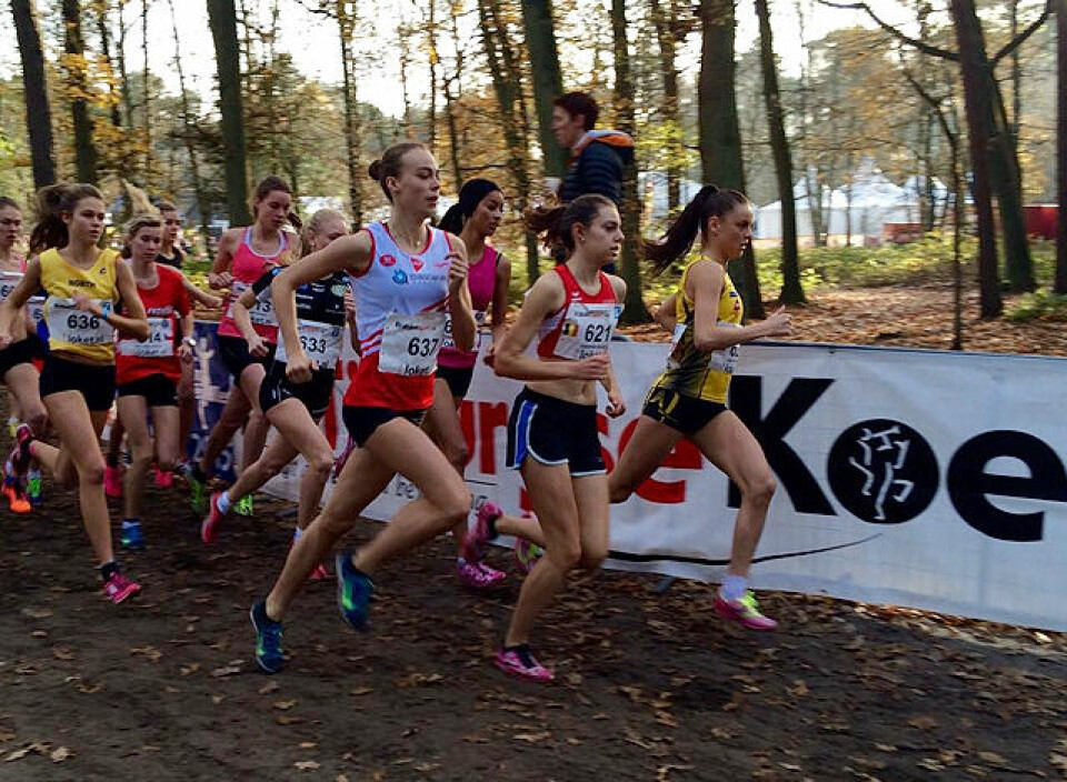 Dobbelt norsk i Warandecross i Tilburg - Live Solheimdal vant Live_Solheimdal_i_tet.jpg