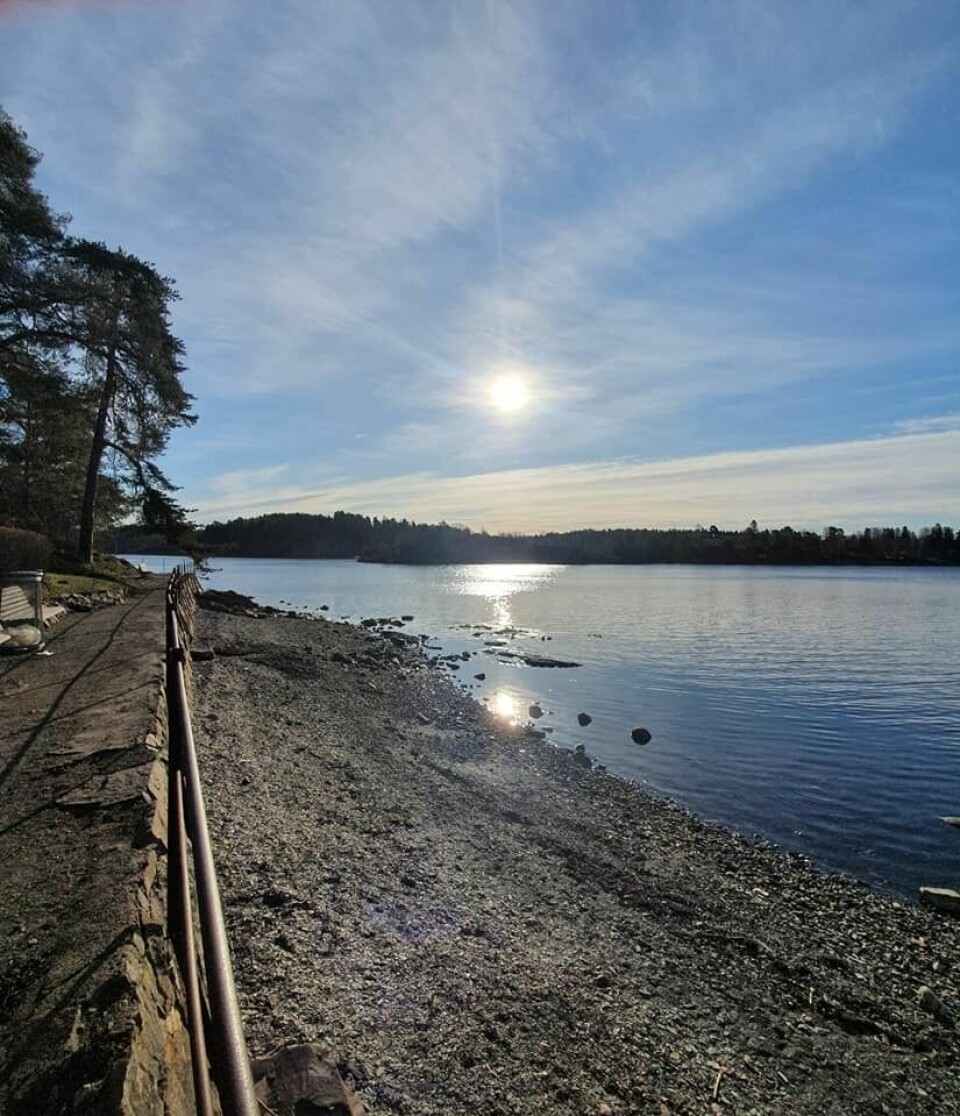 Se hvem som har løpt Kondis virtuelle maraton- og ultraløp i april Lise_Lysfjord_Pettersen_Kyststien.jpg