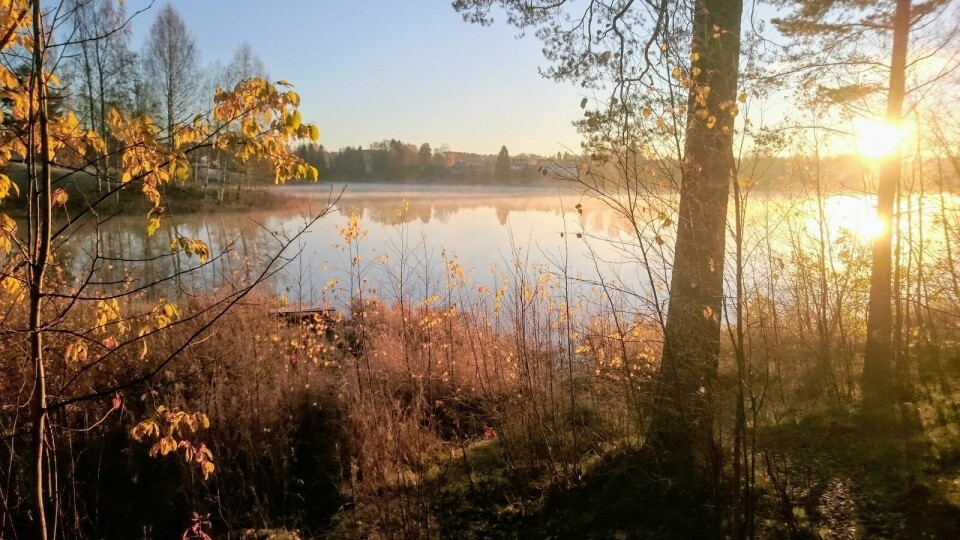 Trening etter innfallsmetoden