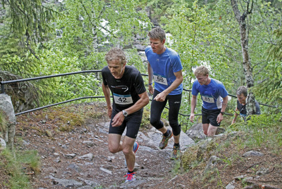 Mesnaelva opp – motbakkeløp i maleriske omgivelser Bilde 7.jpg