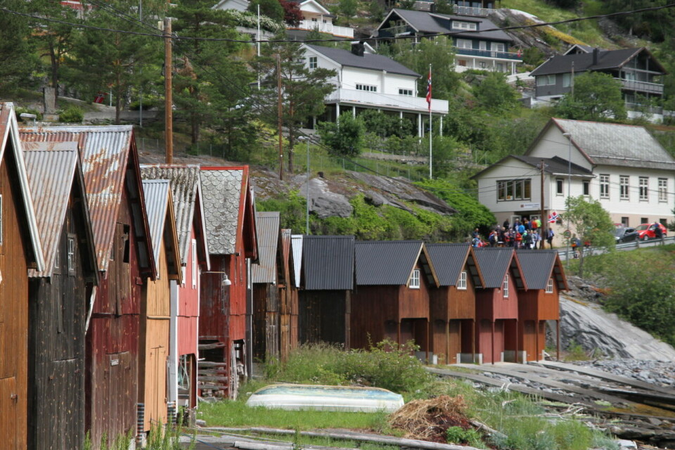 Løyperekordene rauk på Mefjellet Opp som også var NM i motbakkeløp Naust