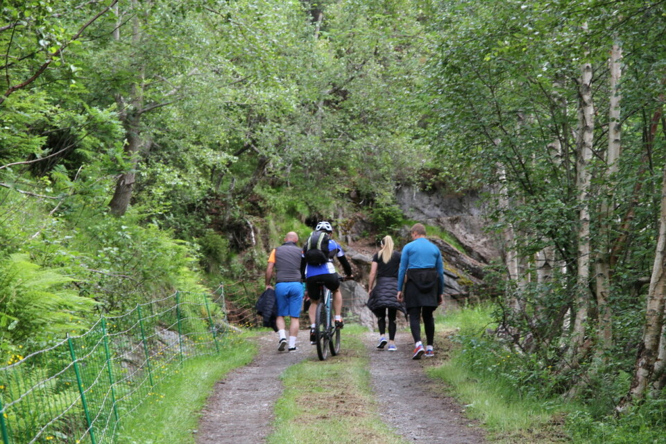 Løyperekordene rauk på Mefjellet Opp som også var NM i motbakkeløp Sykkel