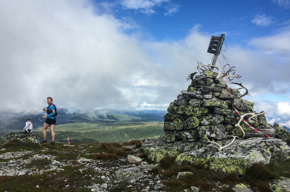 Første toppen er Blenuten på 1213 moh. Er det ikke gevir fra reinsdyr som ligger der? Første toppen er Blenuten på 1213 moh. Er det ikke gevir fra reinsdyr som ligger der?