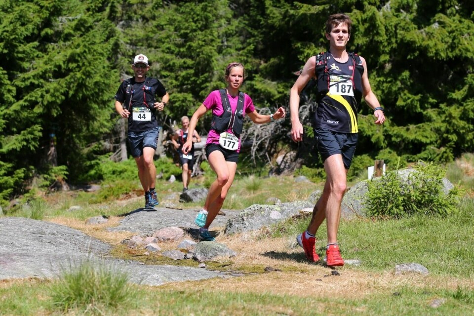 Maratonmesteren satte løyperekord i Romeriksåsen på langs 218_Ane_Guro_Moen_14km (1280x853).jpg