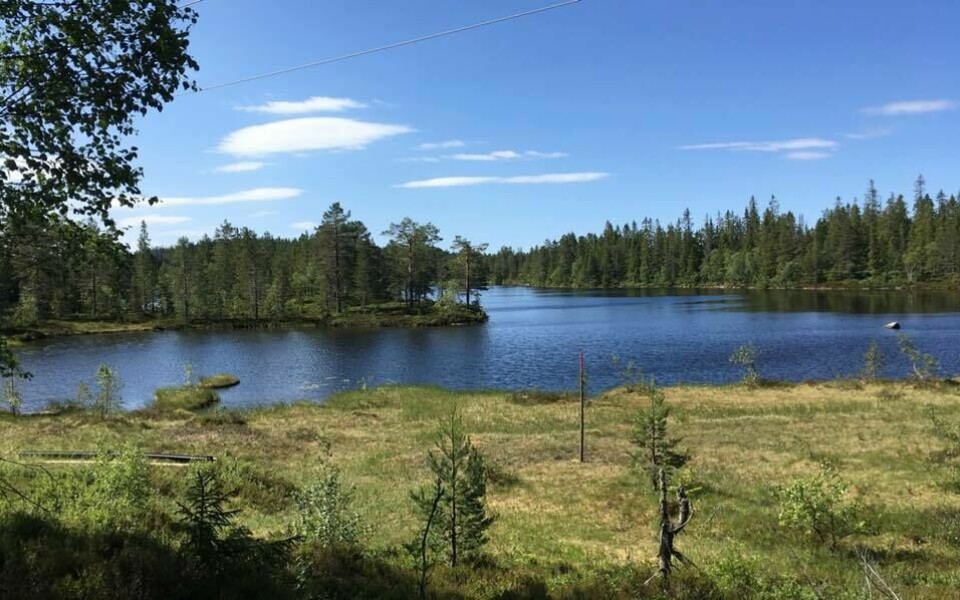 Maratonmesteren satte løyperekord i Romeriksåsen på langs Romeriksåsen_vakkert.jpg