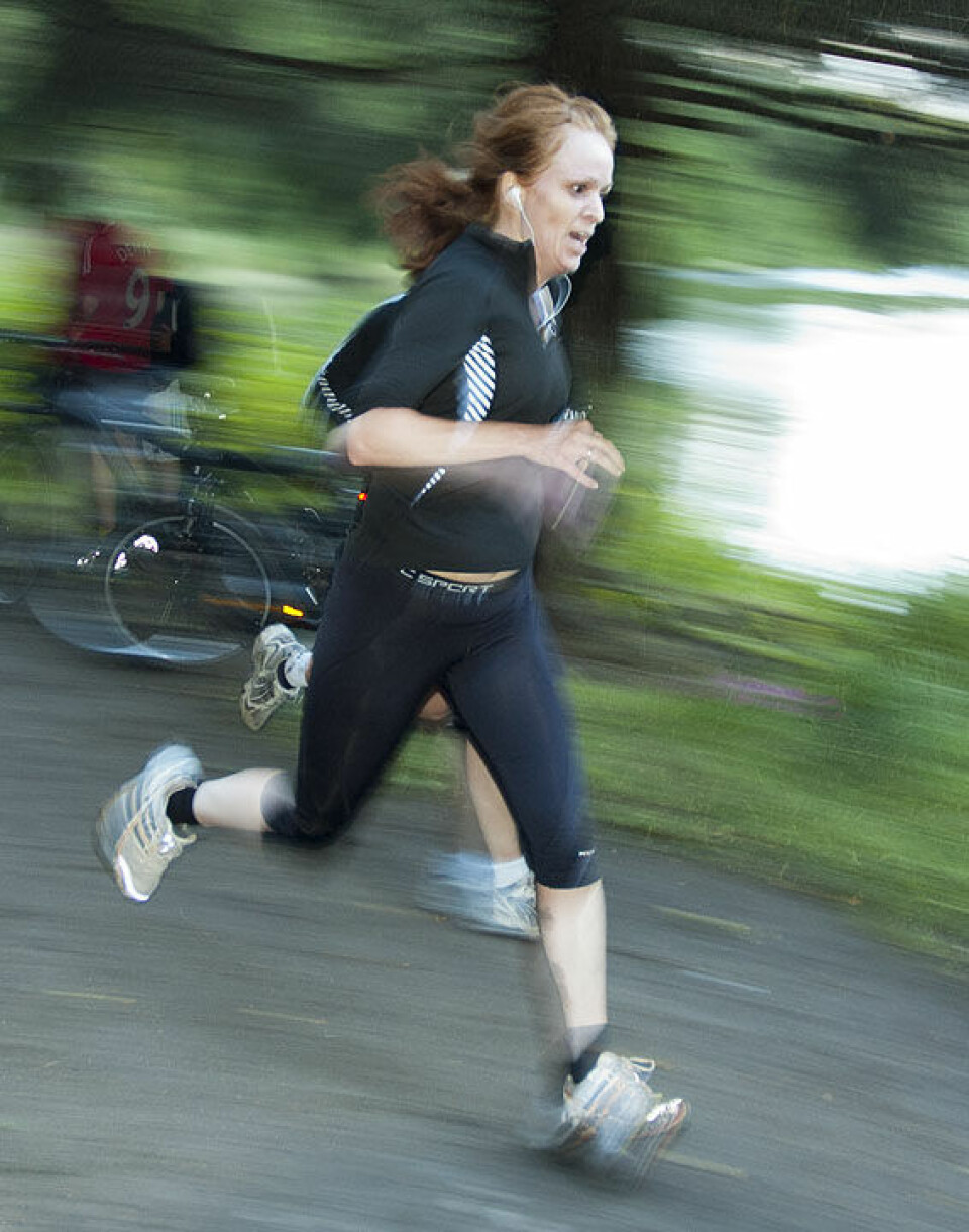 Borredalen Rundt mot nye høyder