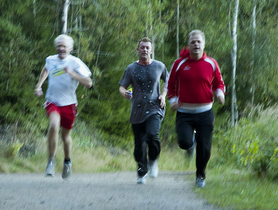 Borredalen Rundt mot nye høyder