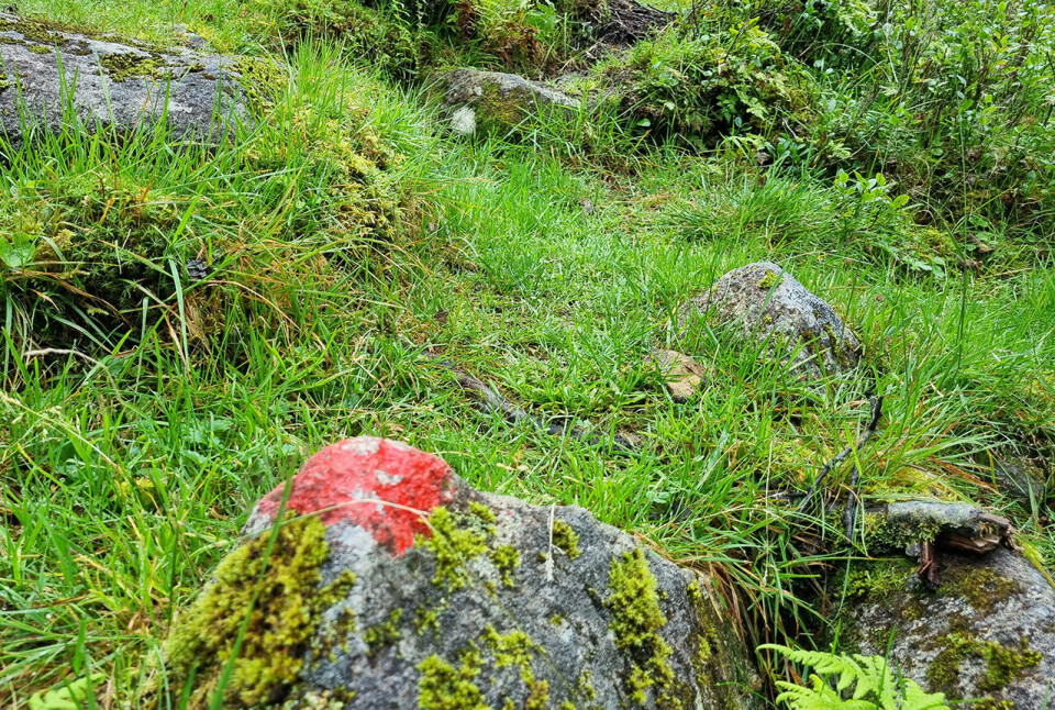 Fjelltur med forbedringspotensial rodt-merke-stein.jpg